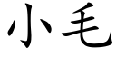 小毛 (楷体矢量字库)