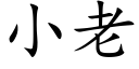 小老 (楷體矢量字庫)