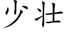 少壮 (楷体矢量字库)