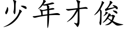 少年才俊 (楷体矢量字库)