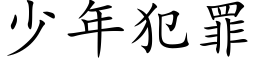 少年犯罪 (楷体矢量字库)