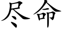 盡命 (楷體矢量字庫)