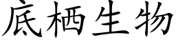 底栖生物 (楷體矢量字庫)