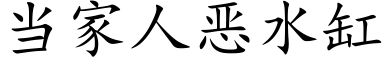 当家人恶水缸 (楷体矢量字库)