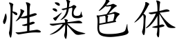 性染色体 (楷体矢量字库)