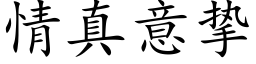 情真意挚 (楷体矢量字库)