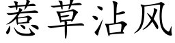 惹草沾风 (楷体矢量字库)