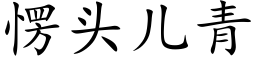 愣頭兒青 (楷體矢量字庫)