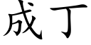 成丁 (楷体矢量字库)