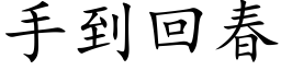 手到回春 (楷体矢量字库)