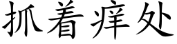 抓着痒处 (楷体矢量字库)