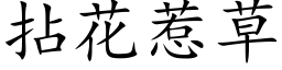 拈花惹草 (楷体矢量字库)