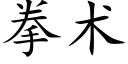 拳术 (楷体矢量字库)