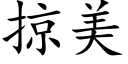 掠美 (楷体矢量字库)