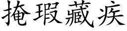 掩瑕藏疾 (楷體矢量字庫)