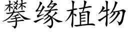 攀緣植物 (楷體矢量字庫)