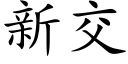 新交 (楷體矢量字庫)