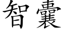 智囊 (楷體矢量字庫)