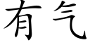 有气 (楷体矢量字库)