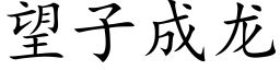 望子成龙 (楷体矢量字库)