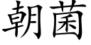 朝菌 (楷体矢量字库)