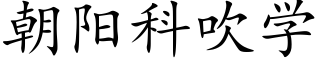 朝阳科吹学 (楷体矢量字库)