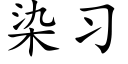 染习 (楷体矢量字库)