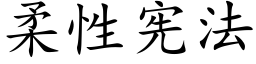 柔性憲法 (楷體矢量字庫)