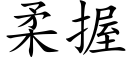 柔握 (楷體矢量字庫)