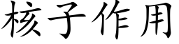 核子作用 (楷體矢量字庫)