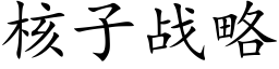 核子战略 (楷体矢量字库)