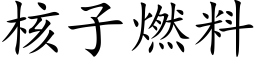 核子燃料 (楷體矢量字庫)