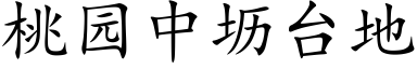 桃園中坜台地 (楷體矢量字庫)