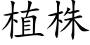 植株 (楷体矢量字库)