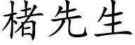 楮先生 (楷体矢量字库)