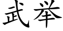 武举 (楷体矢量字库)