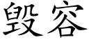 毁容 (楷体矢量字库)