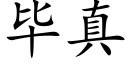 毕真 (楷体矢量字库)