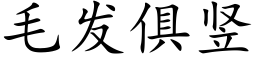 毛發俱豎 (楷體矢量字庫)