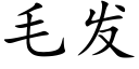 毛發 (楷體矢量字庫)