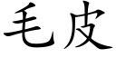 毛皮 (楷體矢量字庫)