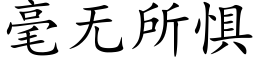 毫无所惧 (楷体矢量字库)