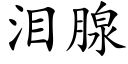 泪腺 (楷体矢量字库)