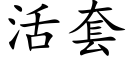 活套 (楷體矢量字庫)