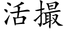 活撮 (楷体矢量字库)