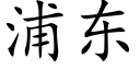 浦东 (楷体矢量字库)