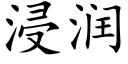 浸潤 (楷體矢量字庫)