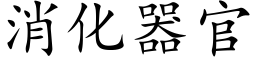 消化器官 (楷体矢量字库)