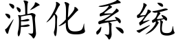 消化系統 (楷體矢量字庫)