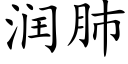 潤肺 (楷體矢量字庫)